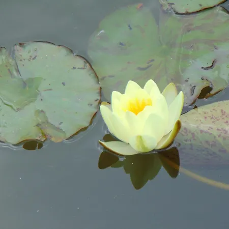 No.18 Appartement Sangerhausen