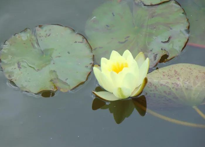 No.18 Appartement Sangerhausen